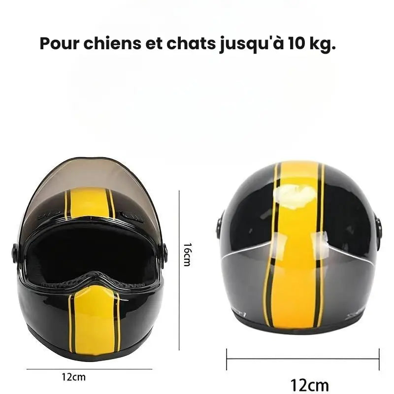 Casque de protection pour chiens et chats - Safe Sorties à Moto