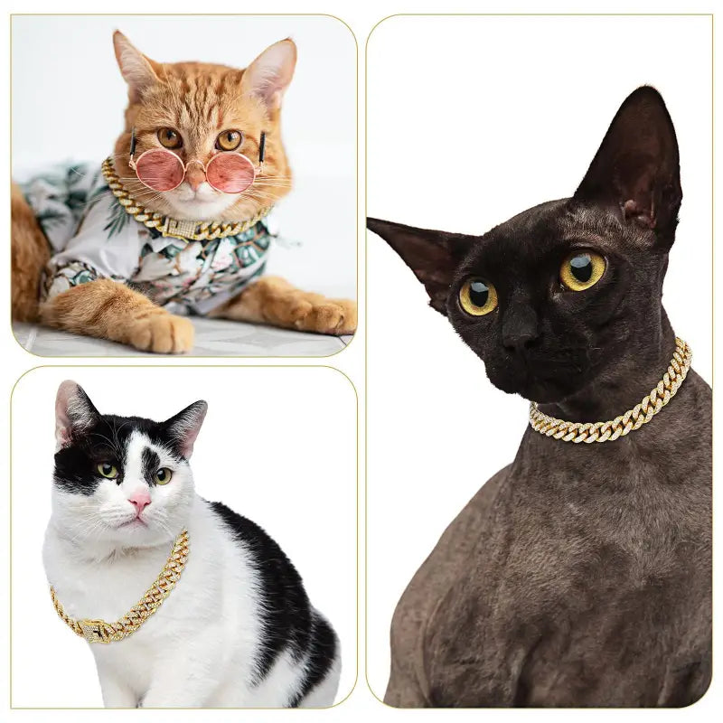 Chat portant une chaîne cubaine ornée - Diamond-Embellished Cuban Dog Collar