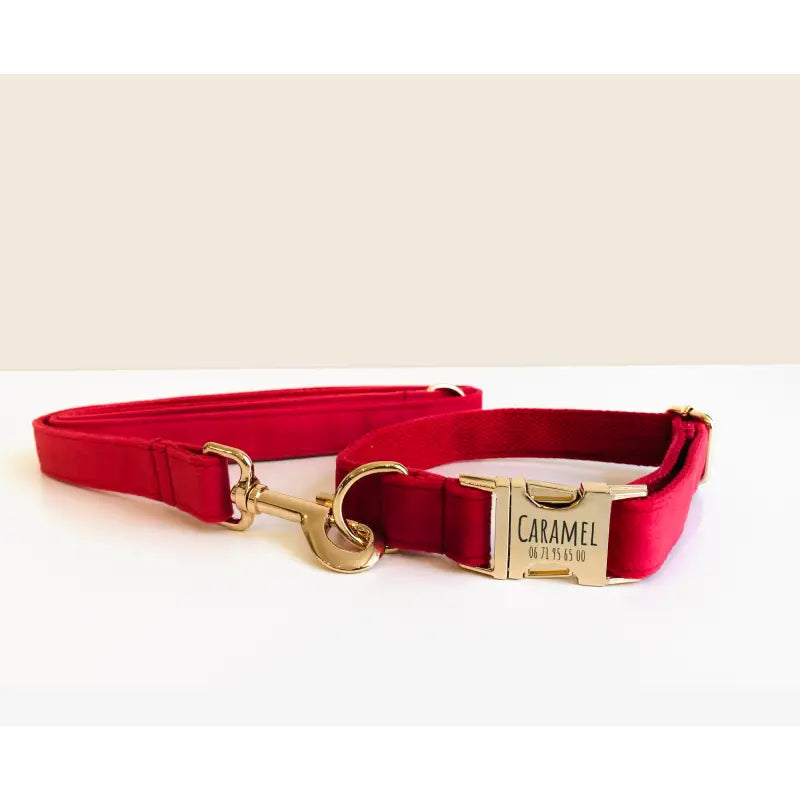 Collier Chien Personnalisé Velours Rouge