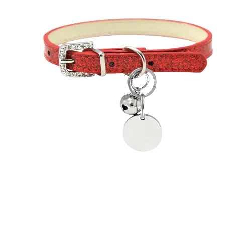 Collier pour chien personnalisé avec breloque argentée par Animal Lovers - Parfait pour votre animal de compagnie ! Transparent Background