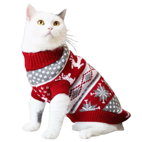 Chat blanc vêtu d’un pull de Noël rouge et festif : Facile à porter pour les fêtes de fin d’année Transparent Background