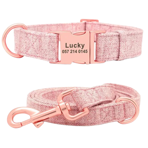 Collier Chien Personnalisable Avec Laisse Transparent Background