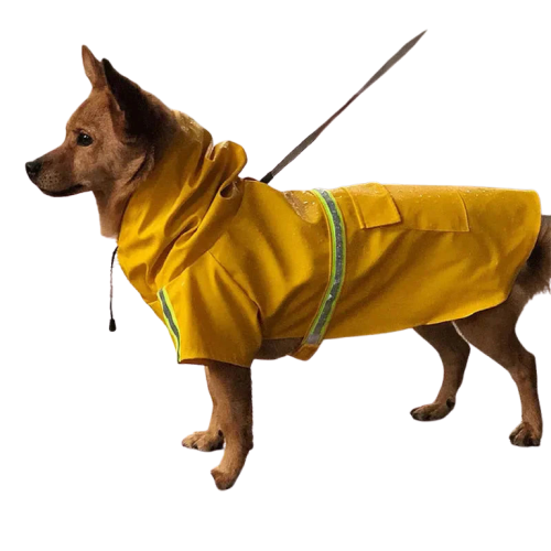 Manteau de pluie chic pour chiens S-5XL offrant une protection dans un design jaune imperméable Transparent Background