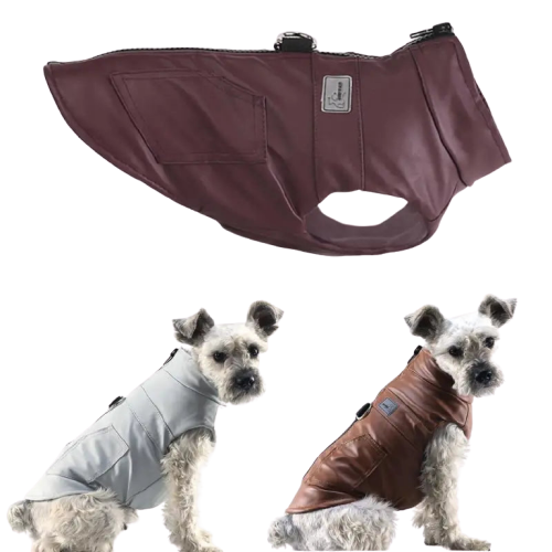 Manteau Harnais En Cuir Imperméable Pour Chien Transparent Background