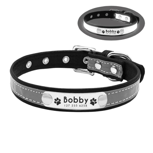 Collier pour chien et chat lumineux Transparent Background