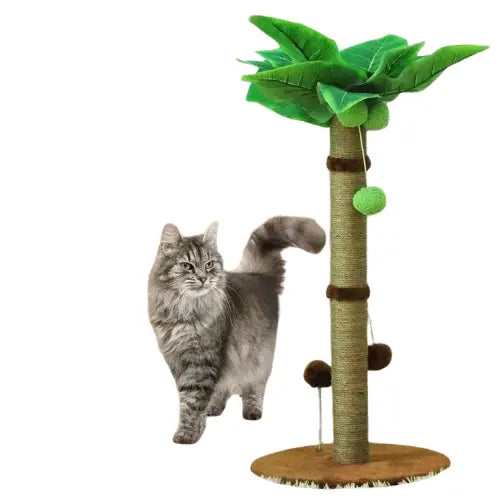 Chat jouant avec l’Arbre à Chat Design Feline Elegance™ | Arbre à Chat pour félins actifs Transparent Background
