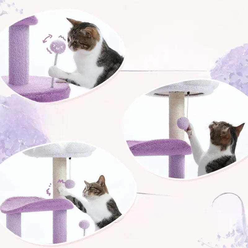 Chat profitant d’une oasis élégante Félin arbre à chat avec planche à gratter