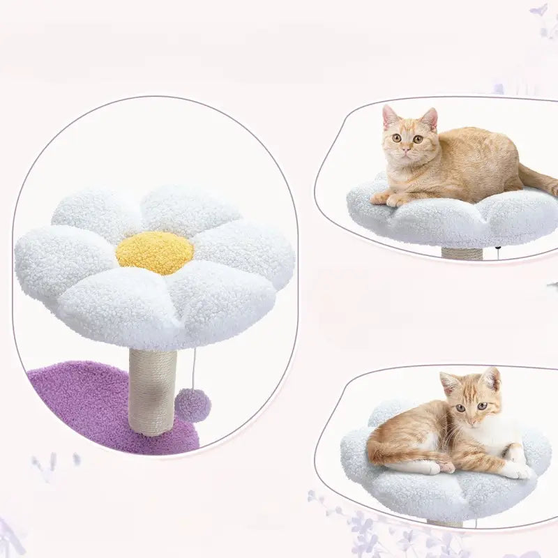 Quatre types de lits pour chats sur l’Elegant Oasis Feline arbre à chat