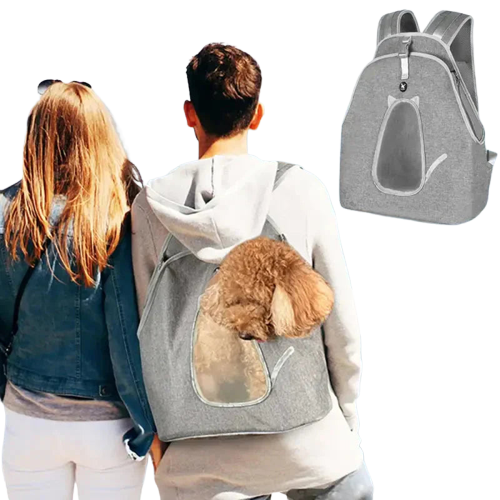 Couple se promenant sur un bateau avec son chien dans un sac à dos de transport pour animaux de compagnie - sécurité optimale Transparent Background