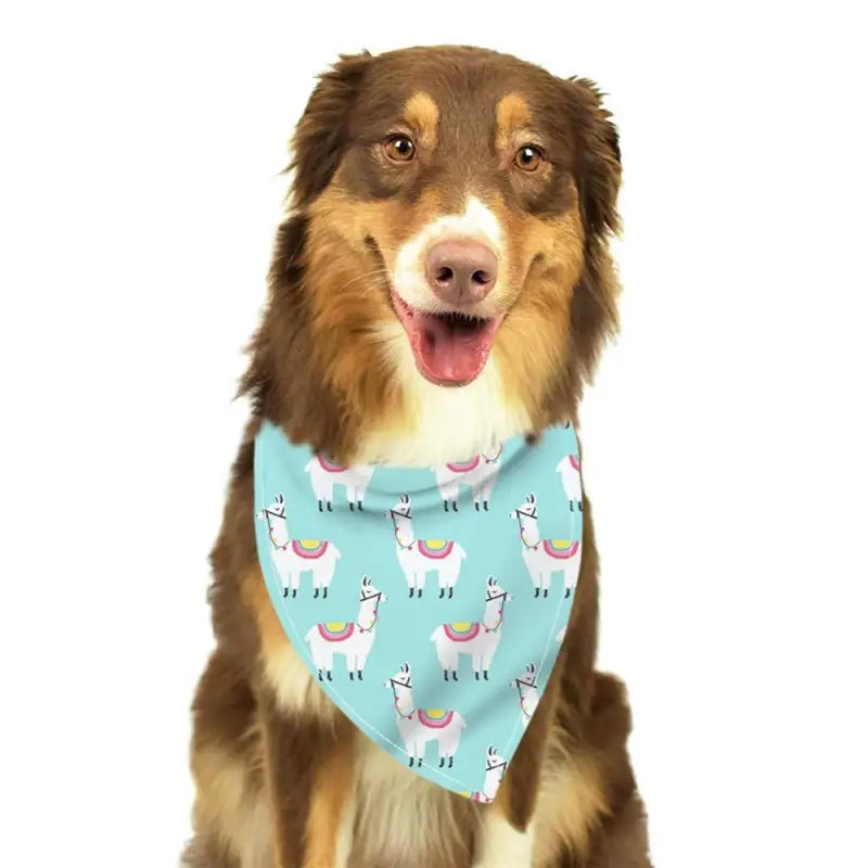 Berger australien en bandana bleu avec imprimé lama - Petits Motifs by Happy Little Patterns