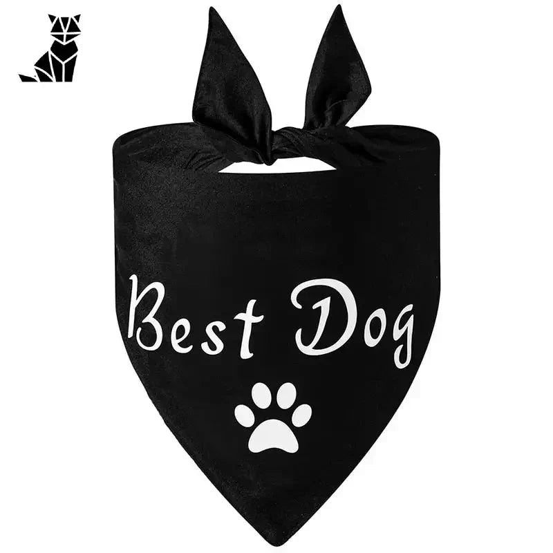 Gros plan sur un bandana à empreintes de pattes de Happy Dog Bandana chez PetZeal