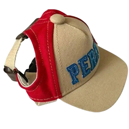 Casquette pour Chien Streetwear Yorkshire Transparent Background