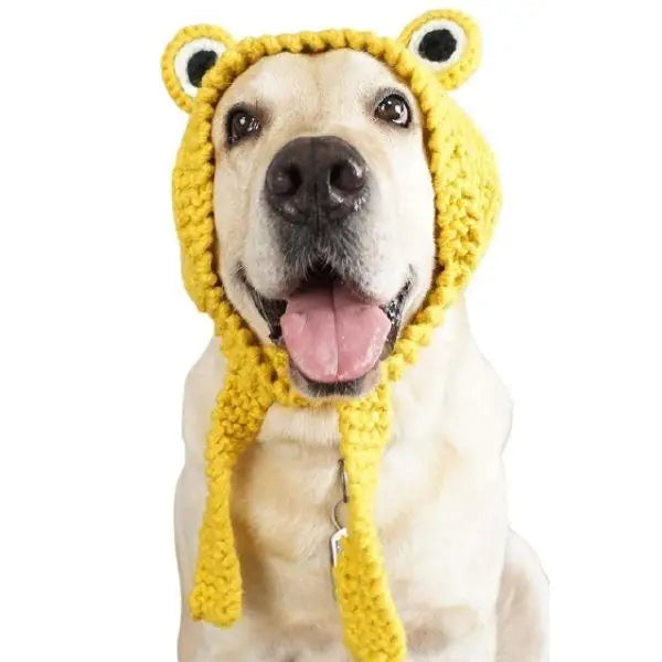 Bonnet pour Chien au Tricot XL