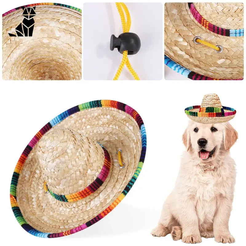 Chapeau pour Chien Paille Multicolore