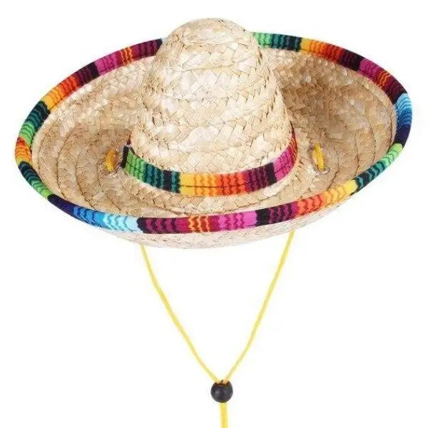 Chapeau pour Chien Paille Multicolore