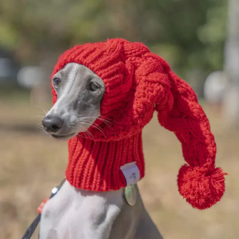 Chien en rouge Chapeau et écharpe en laine - Protection thermique, confort doux, bonnet élégant