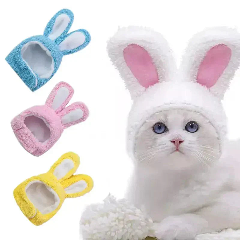 Chat blanc portant un chapeau de lapin et des pantoufles ; douceur et bonnet d’inspiration lapin