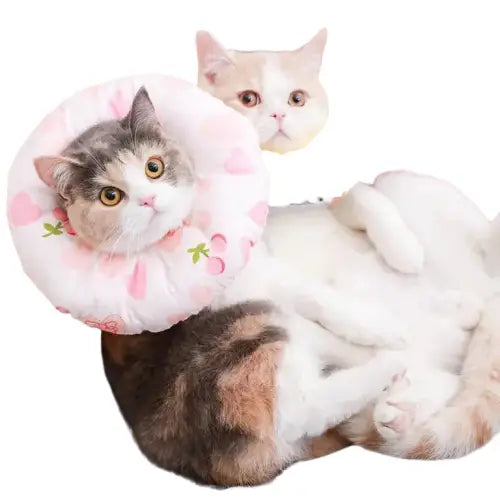 Deux chats allongés sur un canapé avec un oreiller, tous deux portant le Soft Anti-Bite Hood Douce Cagoule for Cats Transparent Background