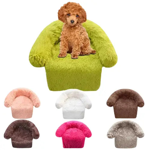 Canapé pour chien en feutre - Repos douillet : Petit chien assis sur une chaise verte Transparent Background