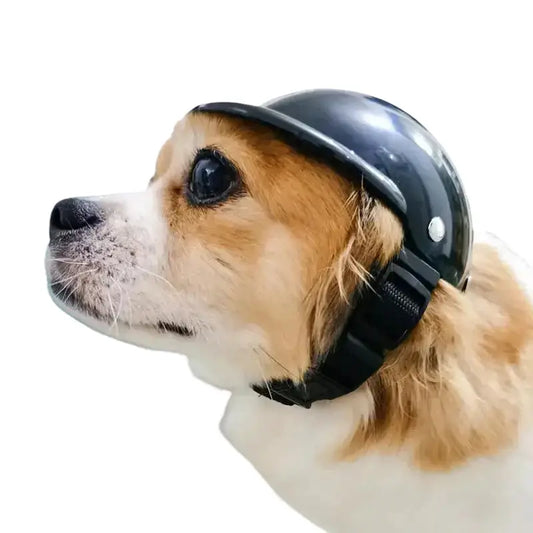 Chien portant un casque de moto noir de la collection Casque de moto pour animaux Transparent Background
