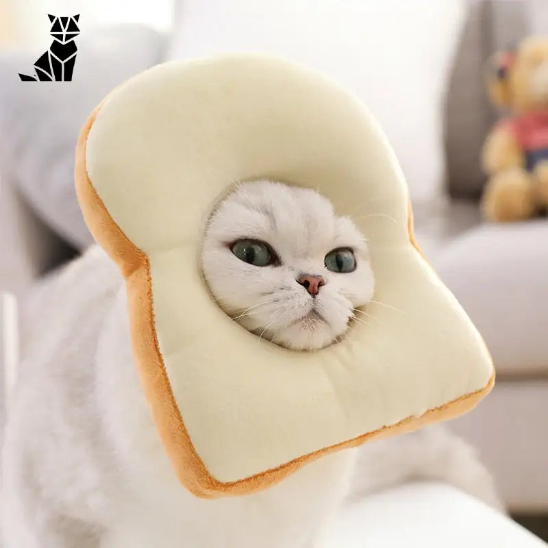 Chapeau pour Chat Cosplay Toast