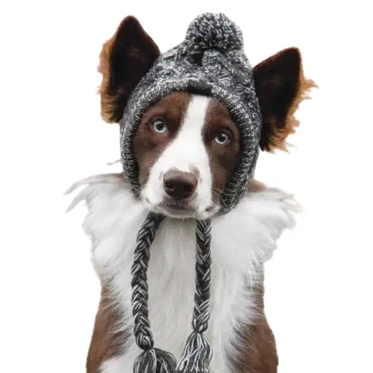 Bonnet pour Chien Style Péruvien au Tricot Transparent Background