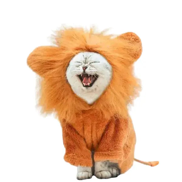 Chapeau pour Chat Lion Intégral Transparent Background
