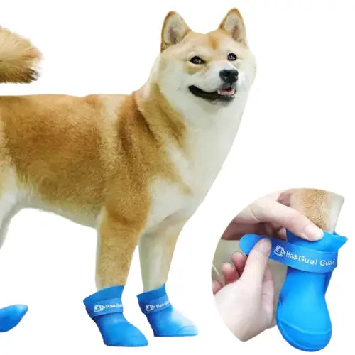 Chaussures pour chien imperméables - Protection optimale des pattes de votre animal Transparent Background