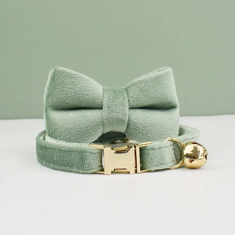 Collier en velours doux pour chat avec boucle dorée et nœud papillon vert, texture velours doux