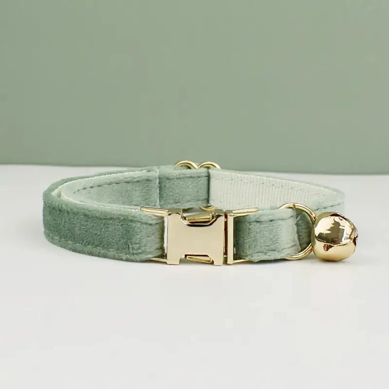 Collier pour chien en velours doux avec boucle dorée, texture velours, accessoire parfait pour les animaux de compagnie