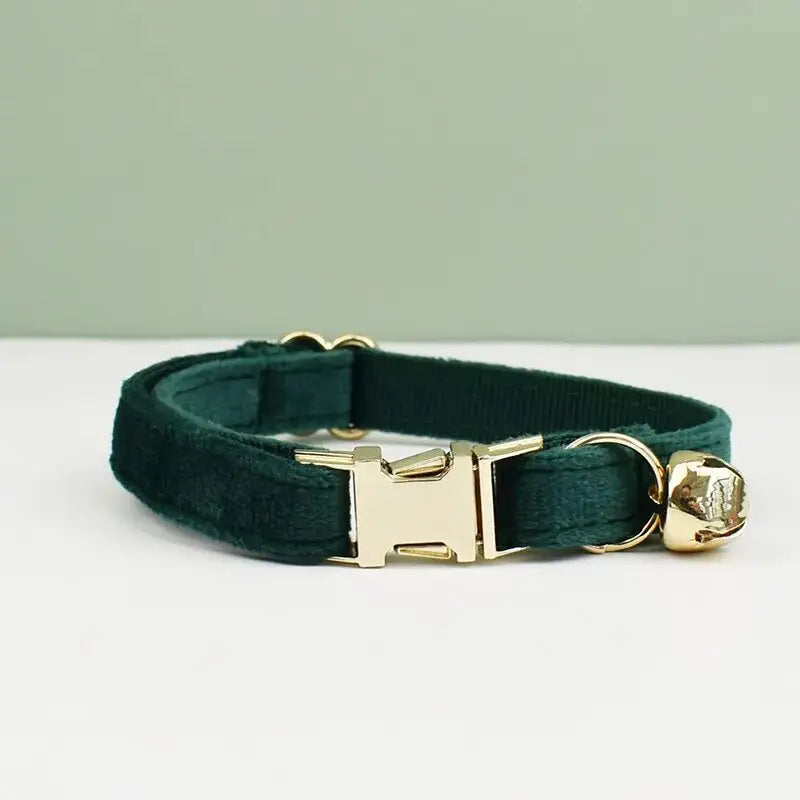 Collier pour chat en velours vert avec boucle dorée, texture élégante, option personnalisée