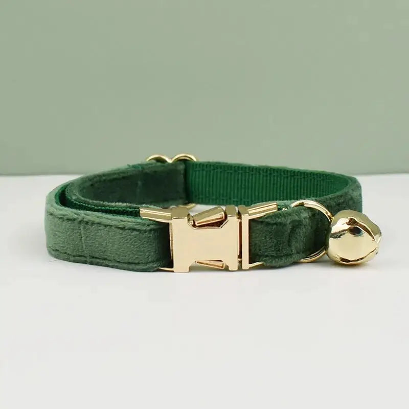 Collier pour chien en velours vert avec boucle dorée - Collier pour chat en velours doux, texturé et personnalisé