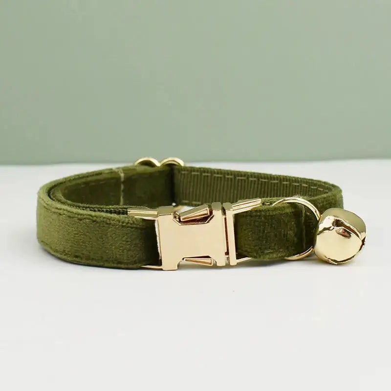 Collier pour chien en velours vert avec boucle dorée dans le produit ’Collier pour chat en velours doux’