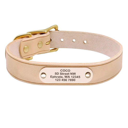 Collier chien cuir large gravé Transparent Background