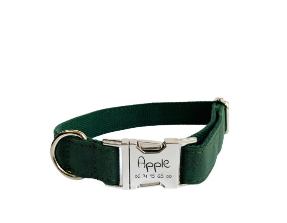 Collier Chien Personnalisé Coton Vert Sapin Transparent Background