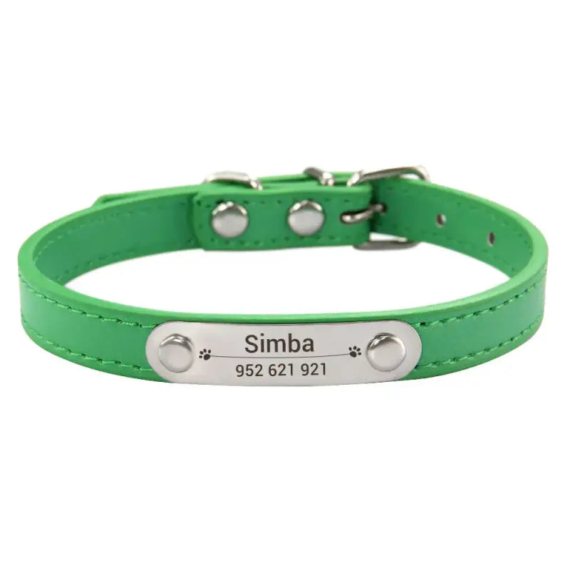 Collier pour chien en cuir vert avec plaque argentée, personnalisable et texture douce en doux cuir