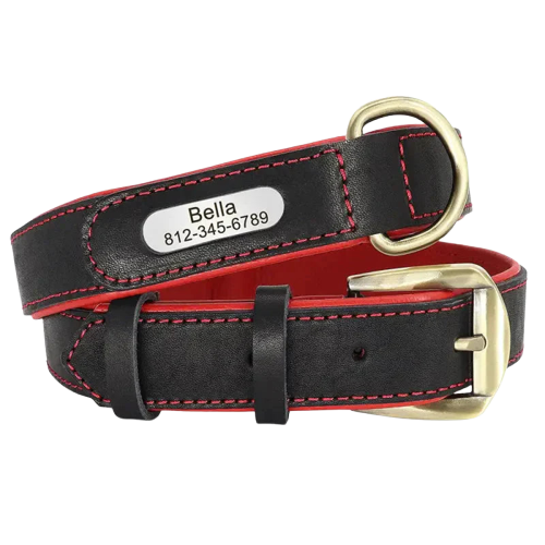 Collier en cuir personnalisable avec couture rouge, robuste et élégant pour chien Transparent Background