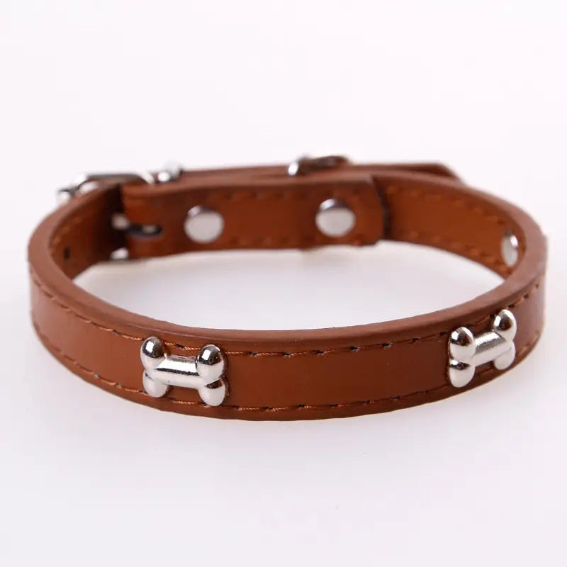 Collier pour Beagle