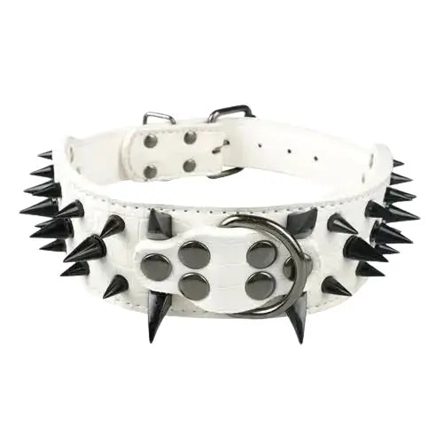 Collier pour Staff Transparent Background