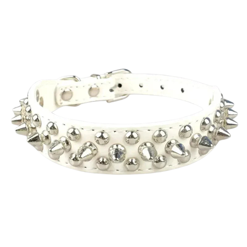 Collier pour Pitbull Transparent Background