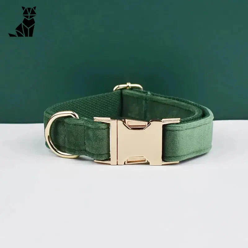 Collier pour chien en velours vert avec boucle dorée - Collier velours personnalisé durable, réglable, velours