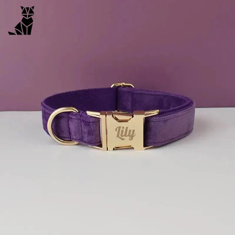 Collier en velours résistant à l’usure pour chien : Collier pour chien violet avec boucle dorée, Chien d’Amour