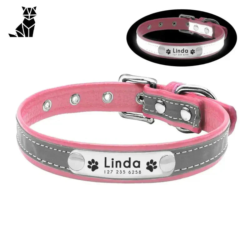 Collier pour chien et chat lumineux