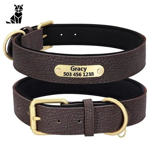 Collier Pour Chien En Cuir Personnalisable