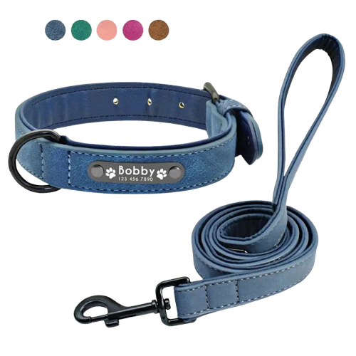 Collier Pour Chien En Cuir Personnalisable Transparent Background