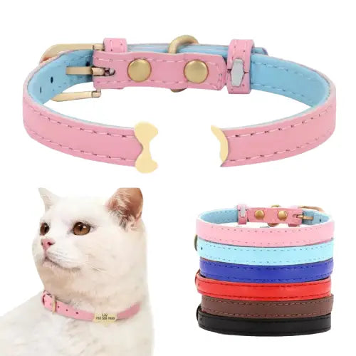Collier Personnalisé pour Chat avec médaille chien - complète identification et élégance Transparent Background