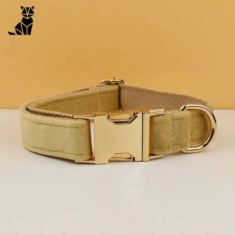 Collier pour chien en cuir beige avec boucle dorée - Collier en velours résistant et personnalisable pour petits chiens