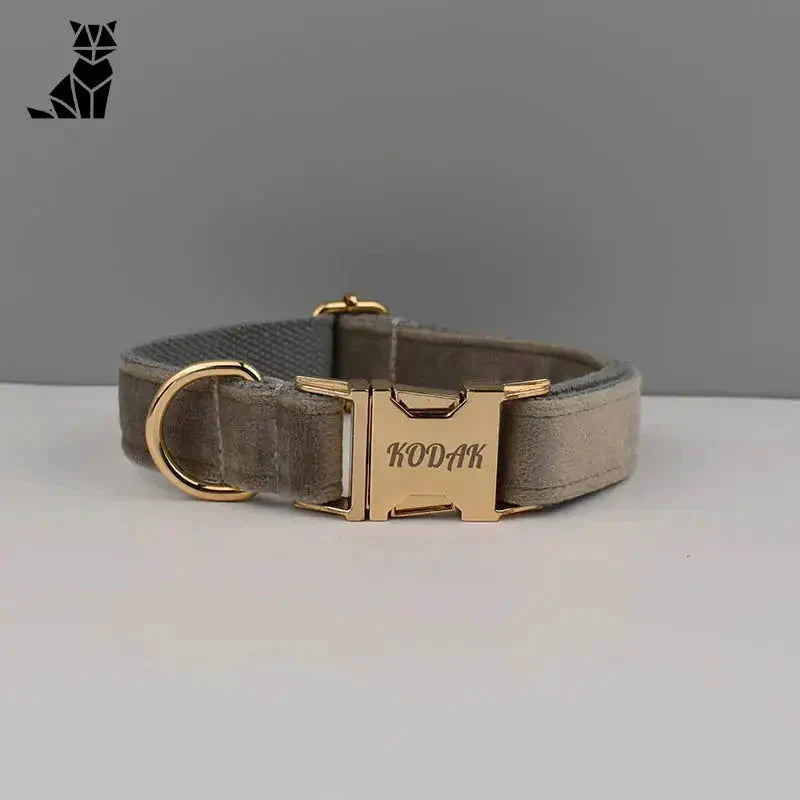 Collier pour chien en velours résistant et personnalisable en matière suédée avec une boucle dorée