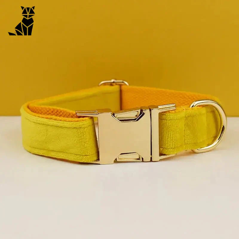 Collier pour chien en velours résistant avec boucle en métal - Pour petits chiens en jaune