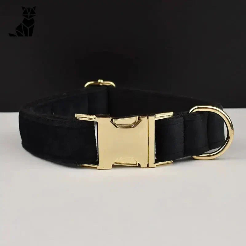 Gros plan sur un collier pour chien en velours noir avec boucle dorée - Résistant, personnalisable pour les petits chiens